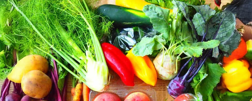食材のまとめ買いは一週間が本当にお得？まとめ買いが本当にお得か徹底 