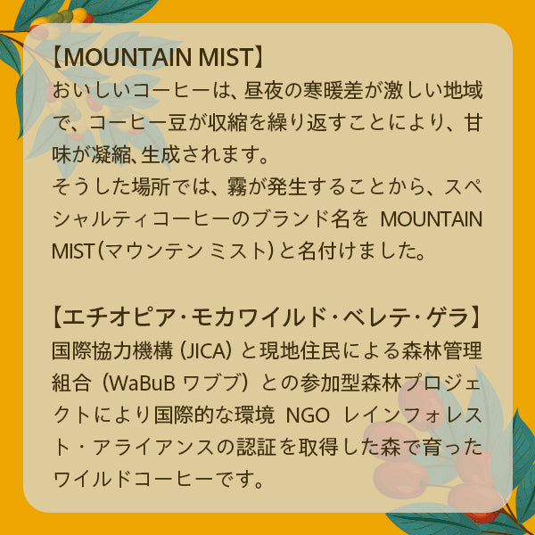 UCC MOUNTAIN MIST エチオピアモカ ワイルド・ベレテ・ゲラ(豆) 2020 AP200g【リニューアル】