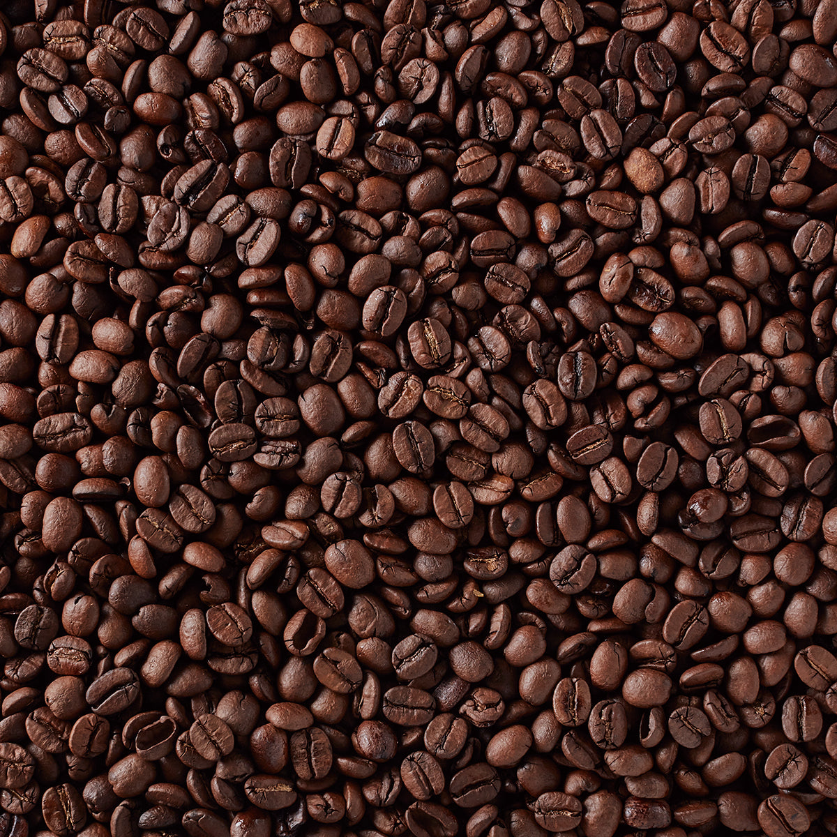 F.O.B. ブラジル No.2/19(ハイロースト)AP 180g(豆)