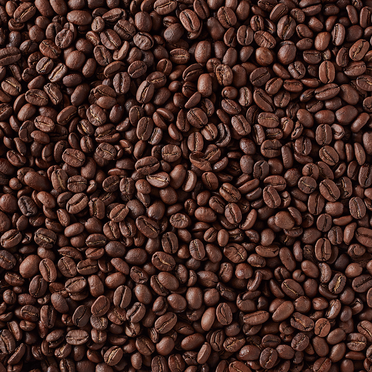 F.O.B. ホンジュラス(ハイロースト)AP 180g(豆)