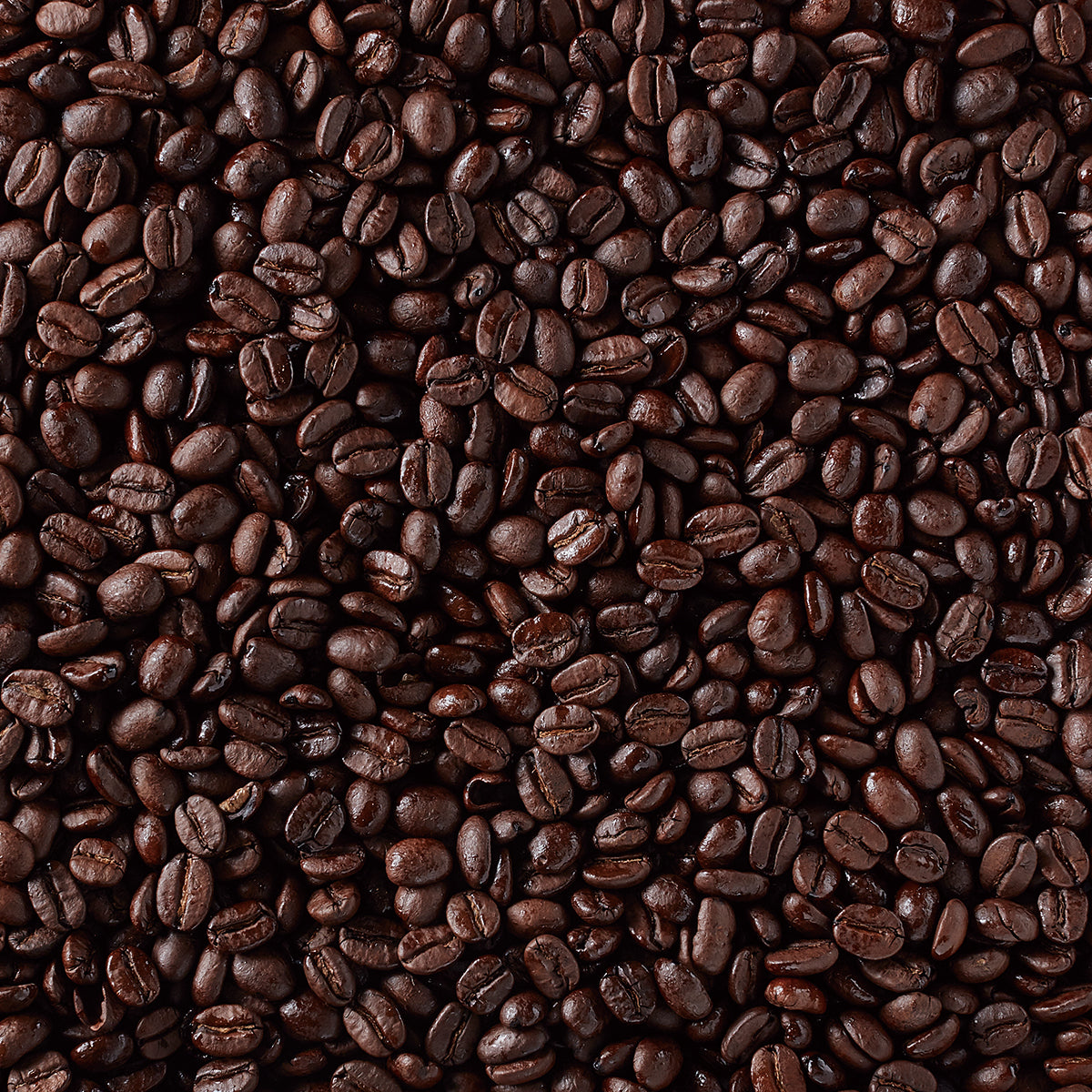 F.O.B. コロンビア スプレモ(シティロースト)AP 180g(豆)