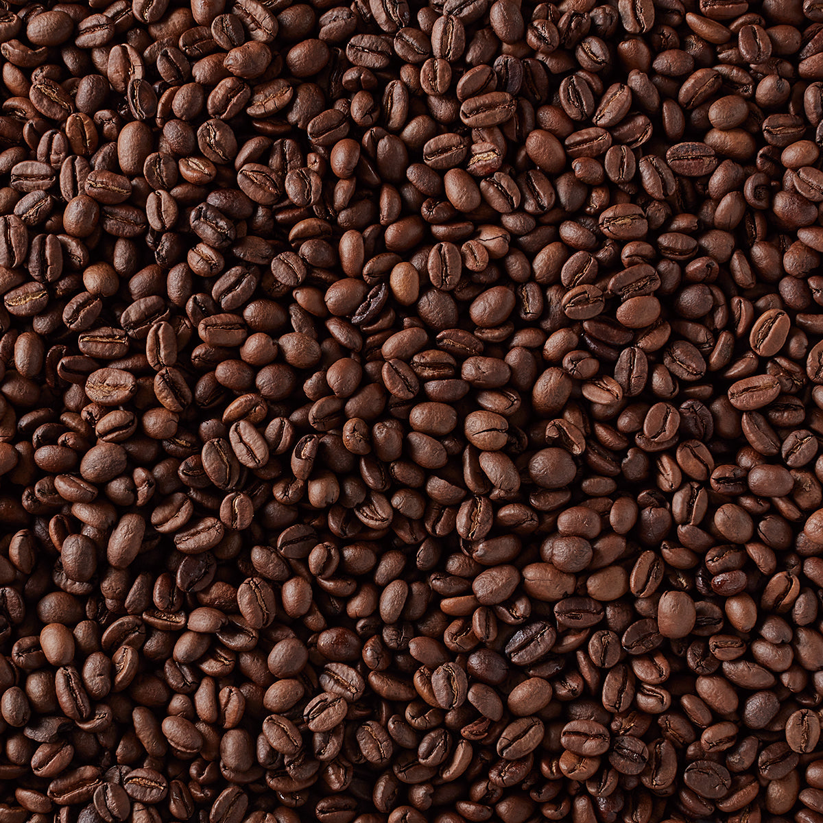 F.O.B. エチオピアモカ(シティロースト)AP 180g(豆)