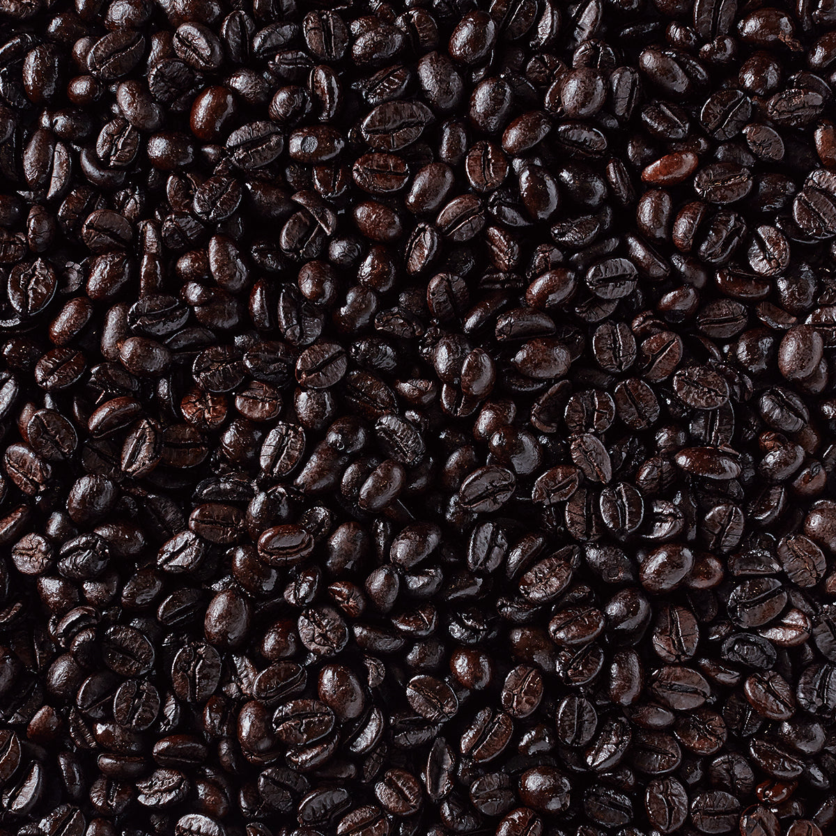 F.O.B. ジャバロブスタ WIB-1(フルシティロースト)AP 180g(豆)