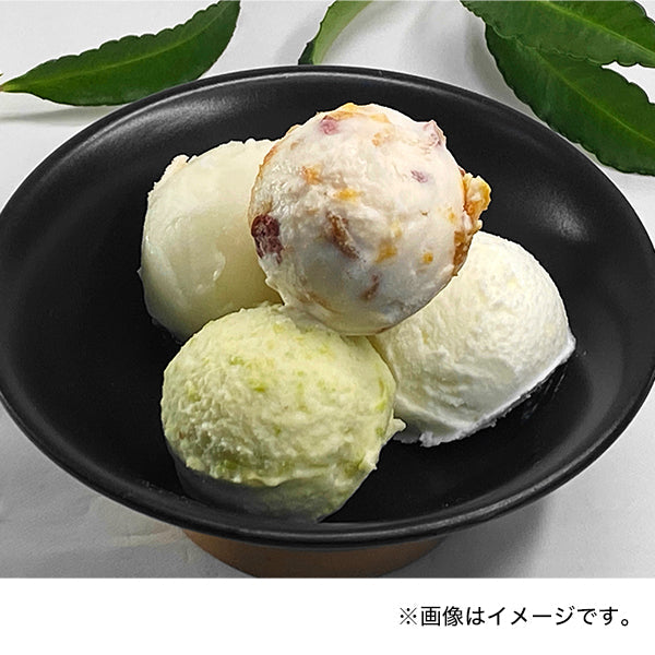 ジェラート工房グレース マエストロおすすめ &山形ジェラート詰合せ 8個セット 冷凍【送料無料】