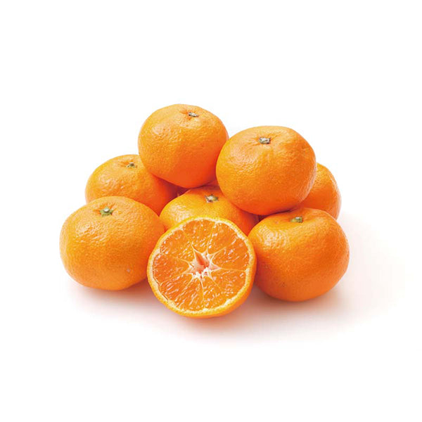 【冬ギフト】わかやま情熱みかんグループ わかやま情熱みかん