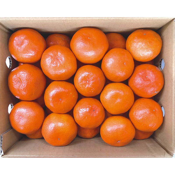 【冬ギフト】香川県産 金時紅みかん