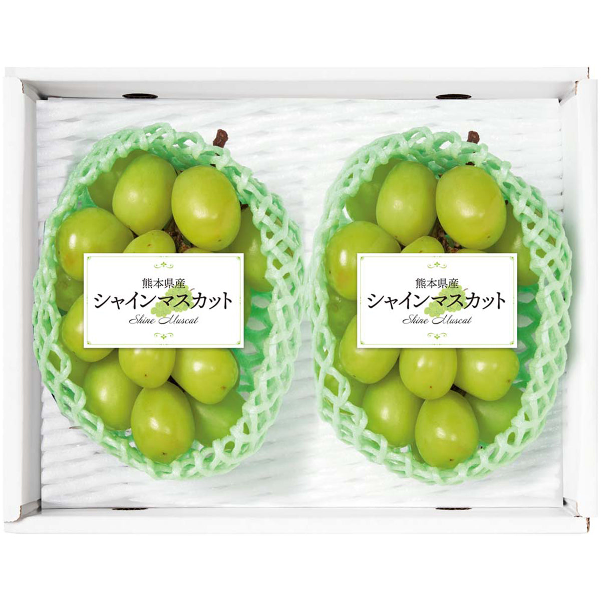 夏ギフト】熊本県産 シャインマスカット | フーヅフリッジ UCC運営の