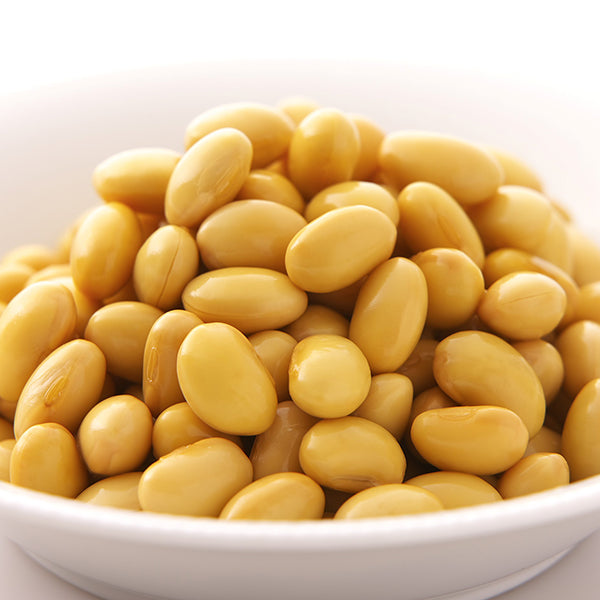 天狗 大豆ドライパック(中国原料)1kg