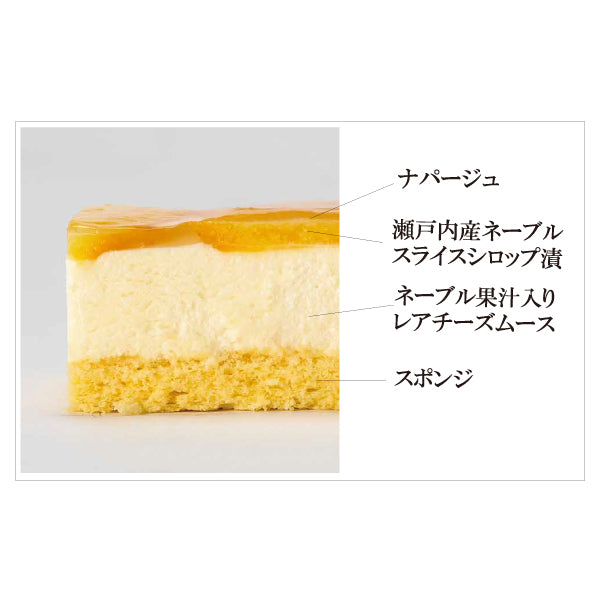 ヌーベルドゥース ネーブルレアチーズケーキ 冷凍 480g