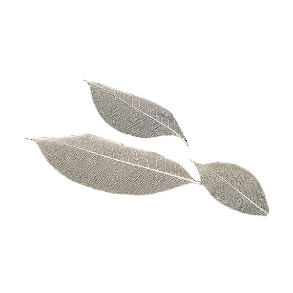 ヤマコー すかし木の葉(L)100枚入(24325)