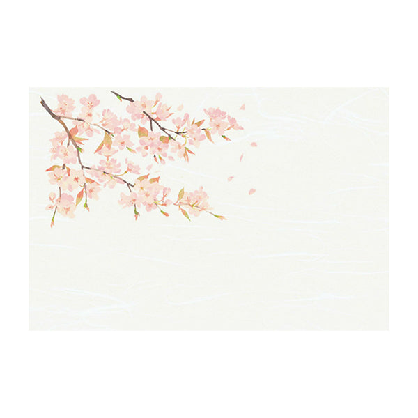 ヤマコー 尺3雲竜和紙懐石まっと 四季 桜 50枚入(64377)
