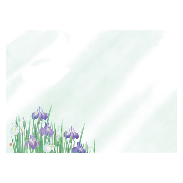 ヤマコー 尺3四季彩まっと 花雅(はなみやび)菖蒲 100枚入(66453)