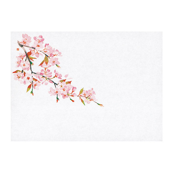 ヤマコー 遠赤保鮮紙(小)桜 100枚入(64560)