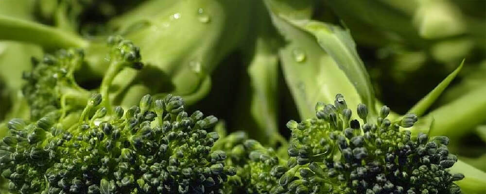 ブロッコリーを冷凍保存するベストな方法は？【生か茹でか？】