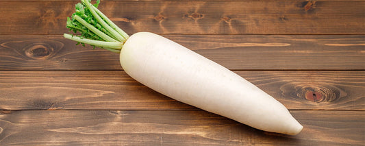 大根を冷凍保存する方法とは？おろし・生・カットを使い分けて上手に活用しよう！