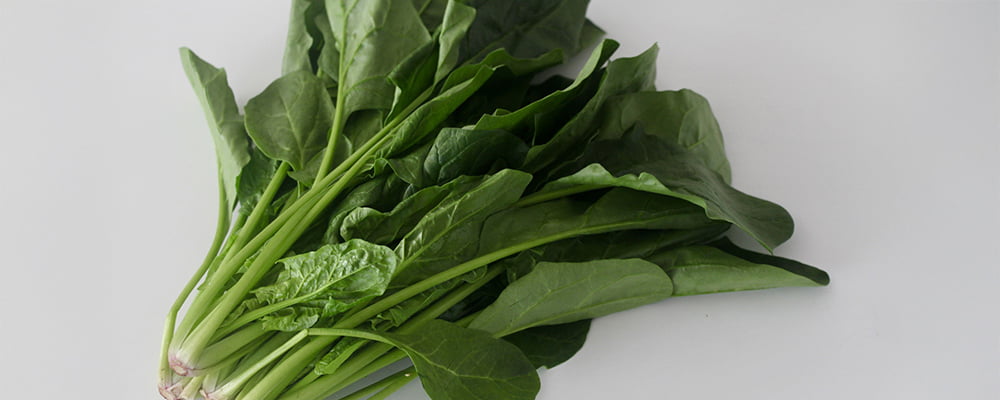 ほうれん草を冷凍保存する方法は？解凍のコツやレシピまでご紹介