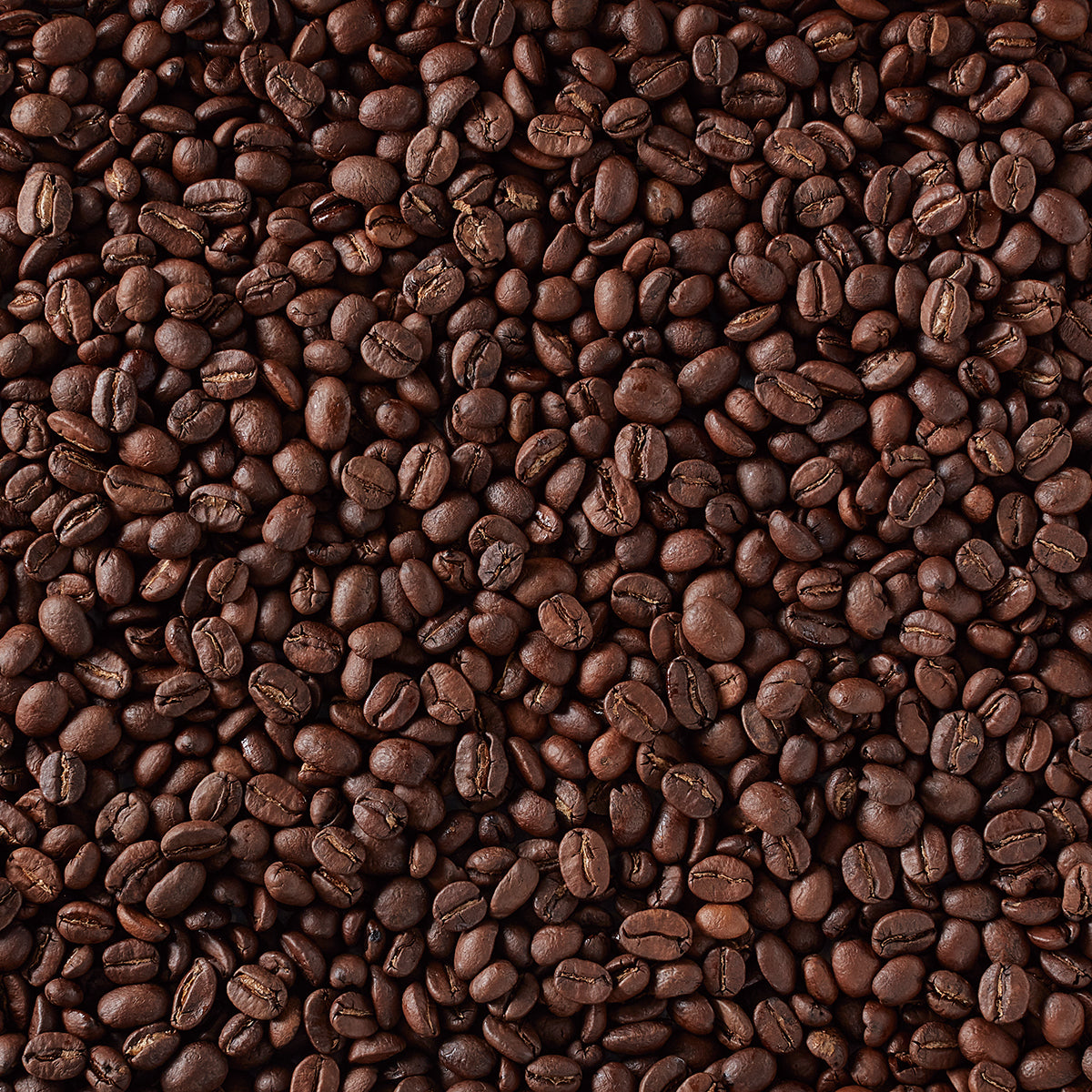 F.O.B. ガテマラ SHB（ハイロースト）AP 180g（豆）