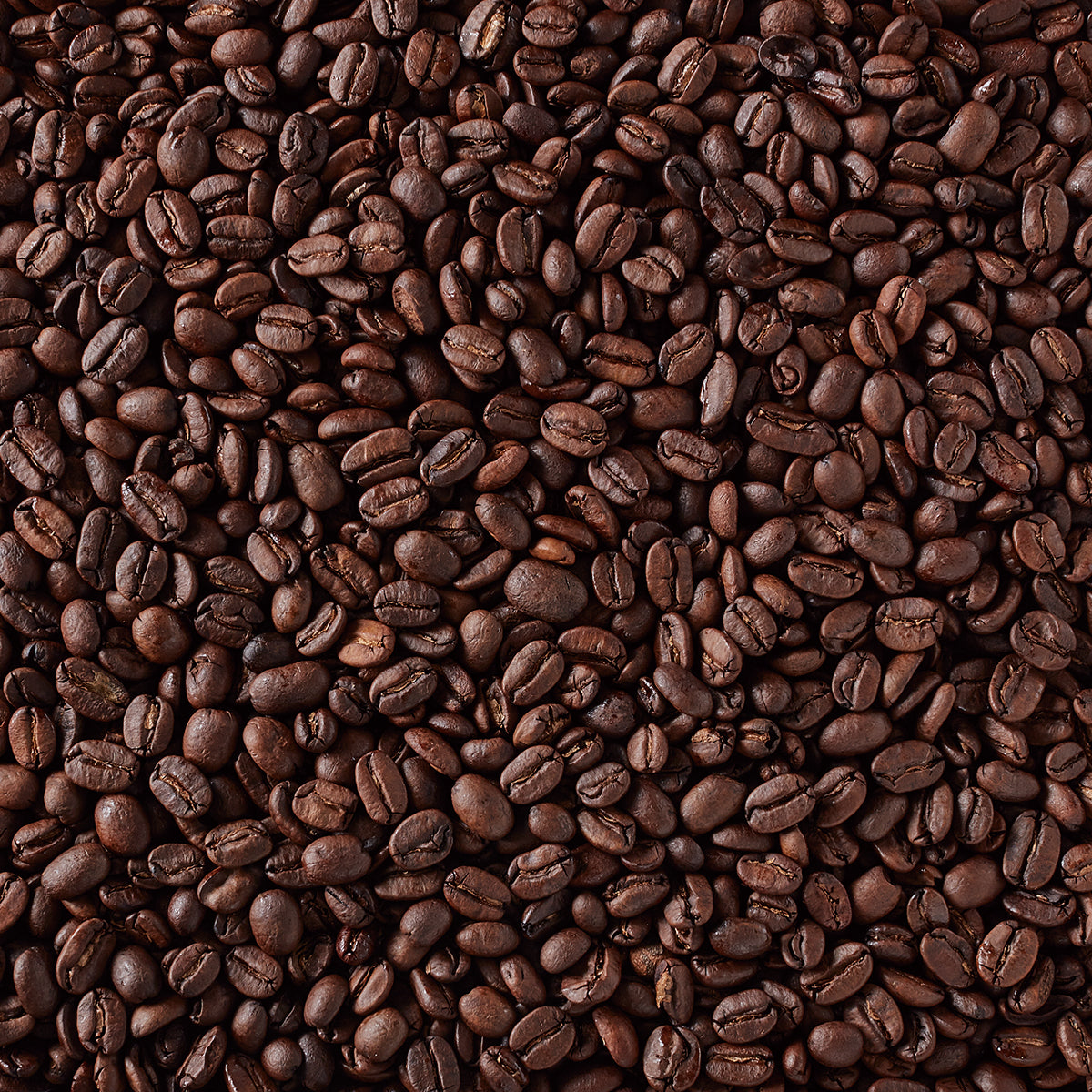 F.O.B. マンデリン G-1（ハイロースト）AP 180g（豆）