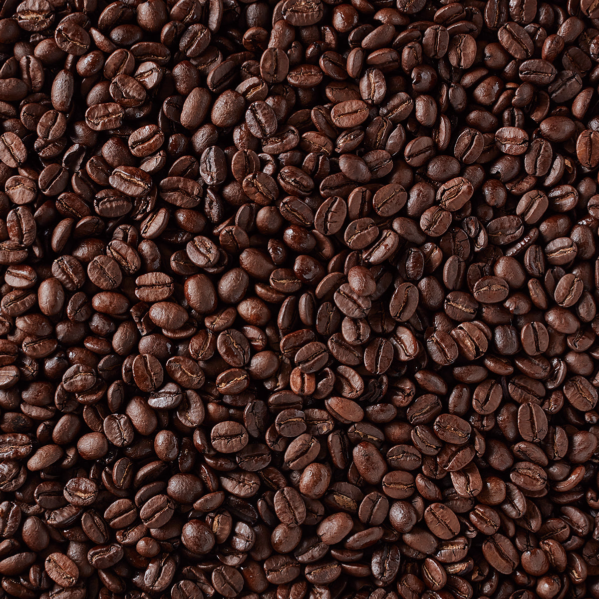 F.O.B. タンザニア AA（シティロースト）AP 180g（豆）