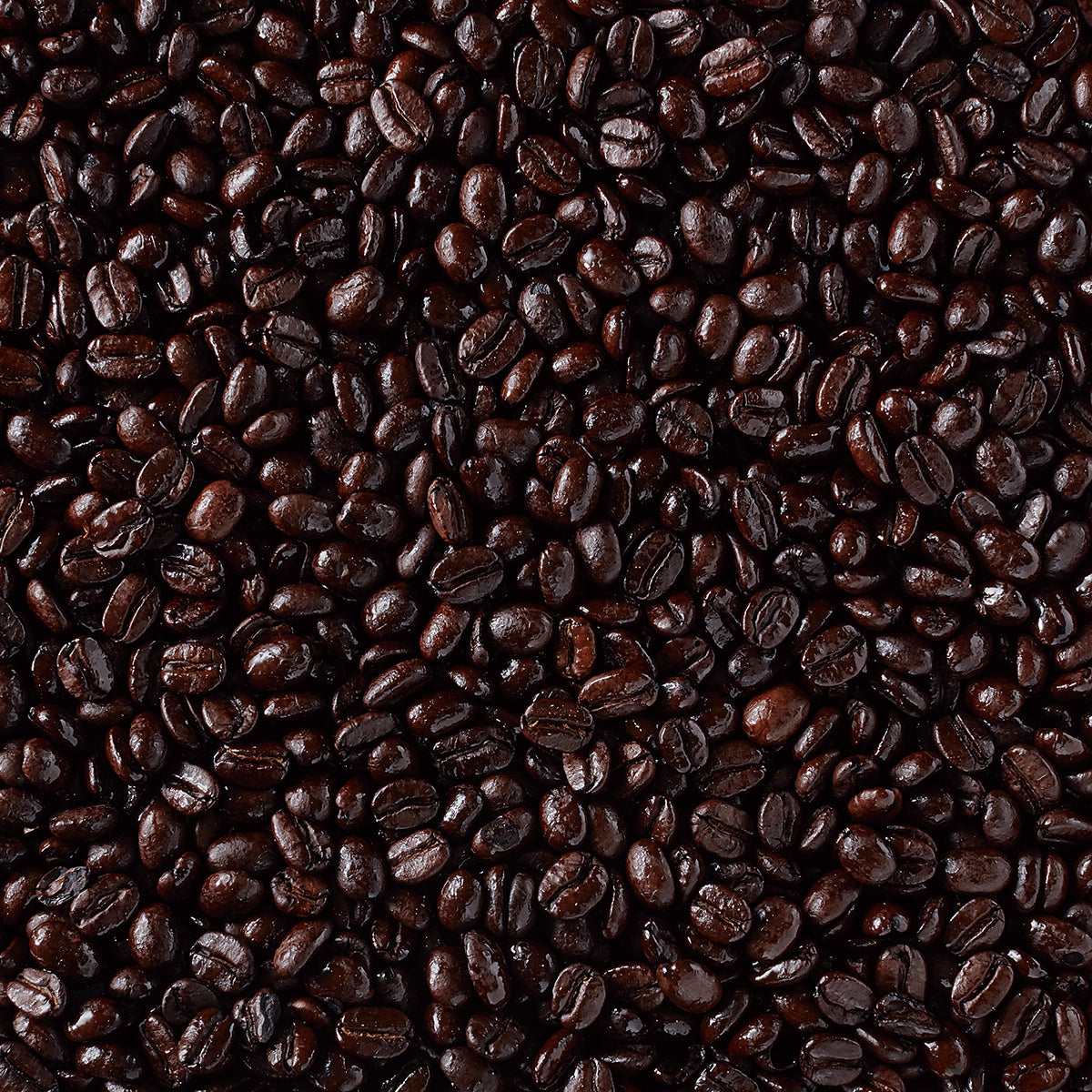 F.O.B. コロンビア スプレモ（フルシティロースト）AP 180g（豆）