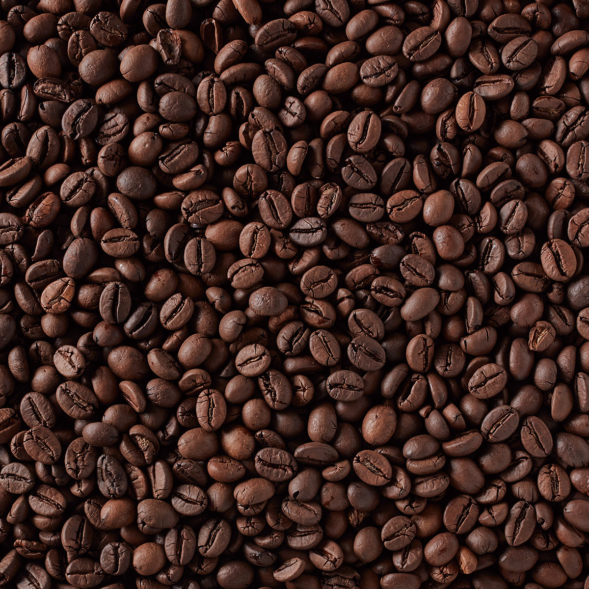 F.O.B. インドネシアロブ AP-1（フルシティロースト）AP 180g（豆）