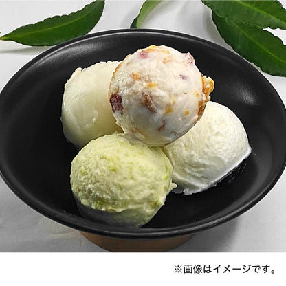ジェラート工房グレース マエストロおすすめ &山形ジェラート詰合せ 8個セット 冷凍【送料無料】