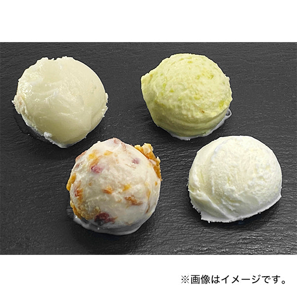 ジェラート工房グレース マエストロおすすめ &山形ジェラート詰合せ 10個セット 冷凍【送料無料】