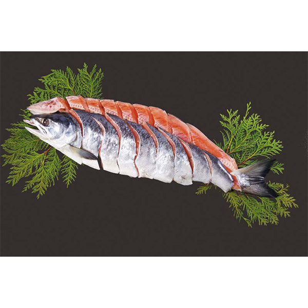 【冬ギフト】北海道産 新巻鮭姿