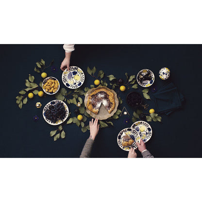 アラビア パラティッシ ペアプレート カラー【送料無料】