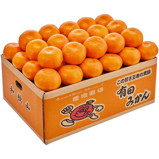 【冬ギフト】和歌山県産 有田みかん