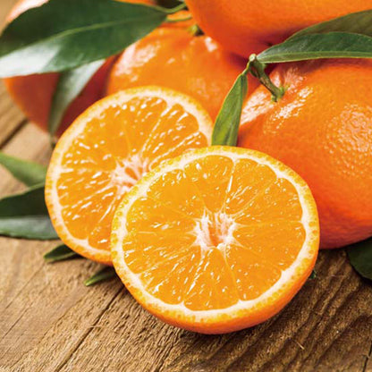 【冬ギフト】和歌山県産 有田みかん