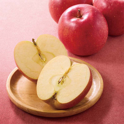 【冬ギフト】JAながの須高地区 サンふじりんご