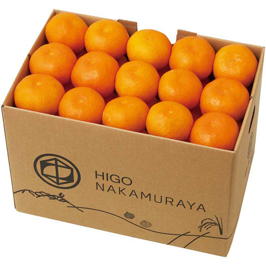 【冬ギフト】佐賀県産 唐津みかん