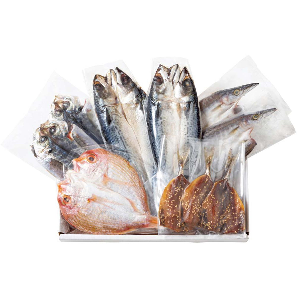 【夏ギフト】九州産 海鮮ひもの詰合せ