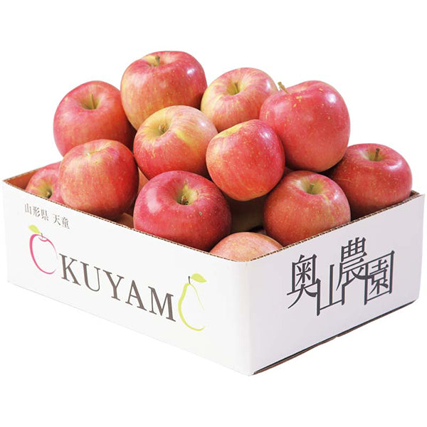 【冬ギフト】奥山農園 山形県産 サンふじりんご