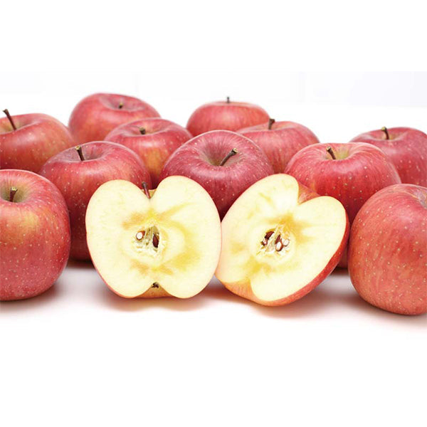 【冬ギフト】奥山農園 山形県産 サンふじりんご