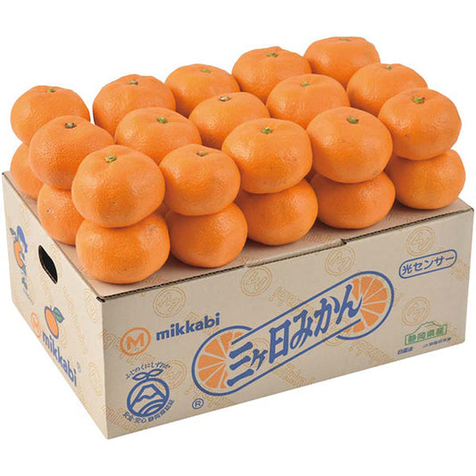 【冬ギフト】静岡県産 三ケ日みかん