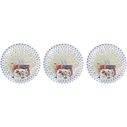 【冬ギフト】下関ふぐ トラフグ刺身