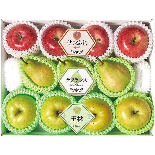 【冬ギフト】冬の果実3種詰合せ