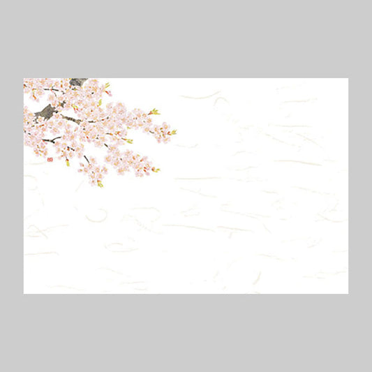 ヤマコー 尺3 花便り 桜（3月～4月）100枚入（66625）