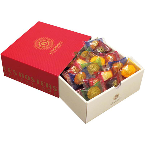 【冬ギフト】「銀座京橋 レ ロジェ エギュスキロール」銀座プチガトー