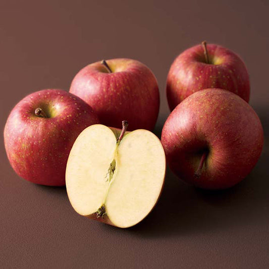 【冬ギフト】山形県産 サンふじ