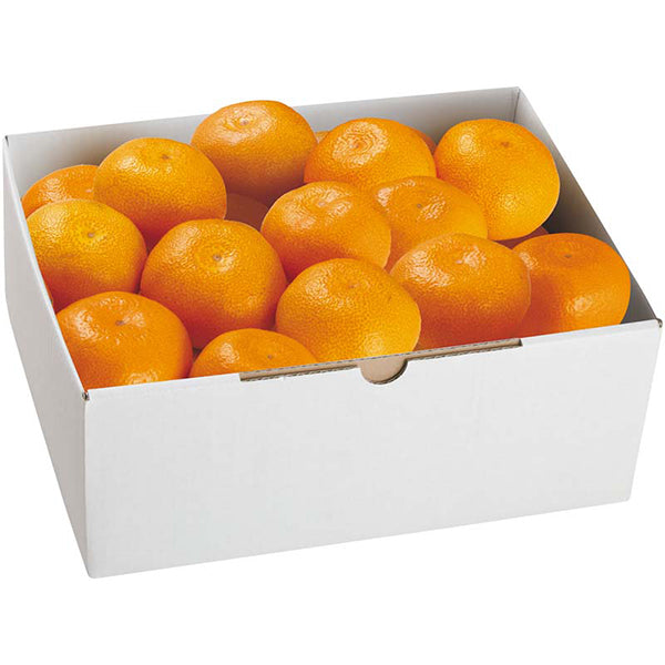 【冬ギフト】わかやま情熱みかんグループ わかやま情熱みかん