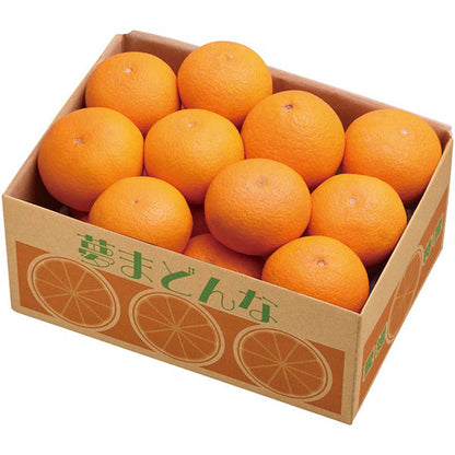 【冬ギフト】愛媛県産 夢まどんな