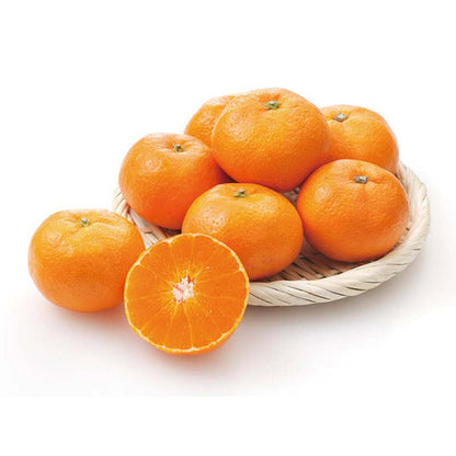 【冬ギフト】愛媛県産 夢まどんな