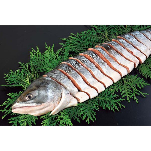 【冬ギフト】根室海峡産 鮭半身