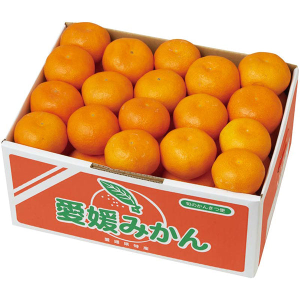 【冬ギフト】愛媛みかん