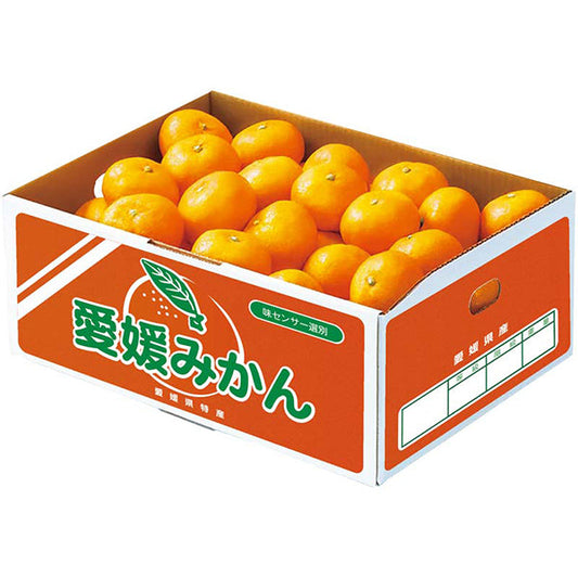 【冬ギフト】愛媛みかん