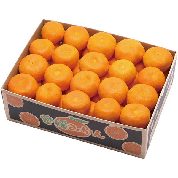 【冬ギフト】愛媛みかん