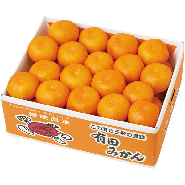 【冬ギフト】和歌山県産 有田みかん